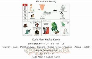 Buku Mimpi Togel 2D Kucing